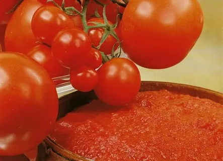 تصویر 3 از رب گوجه فرنگی سنتی انتخابی مناسب برای غذاهای خانگی با عطر طبیعی و بافت دست ساز